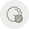 Pinova Fiber Icon