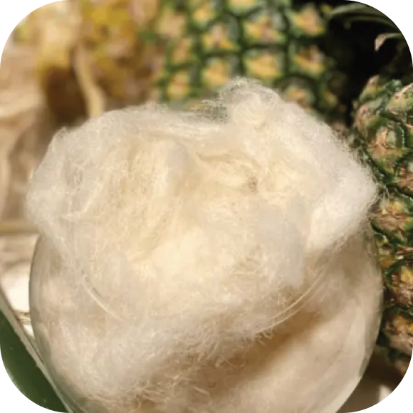 Pinova Fiber