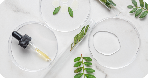 Pinova - Innovation in Eco-Friendly Biotech